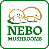 Nebo Mushroom